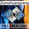 Ziyinzhuangyang viagra5